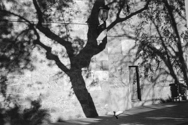 © Gloria Salgado Gispert - Image from the Barcelona un dia d'hivern photography project