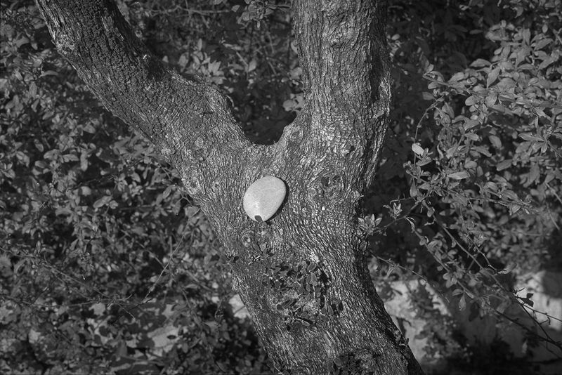 © Gloria Salgado Gispert - Image from the Barcelona un dia d'hivern photography project