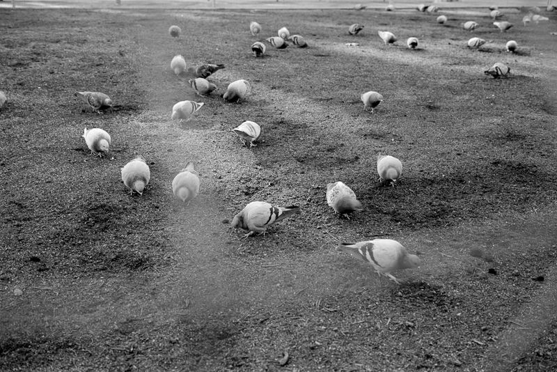 © Gloria Salgado Gispert - Image from the Barcelona un dia d'hivern photography project