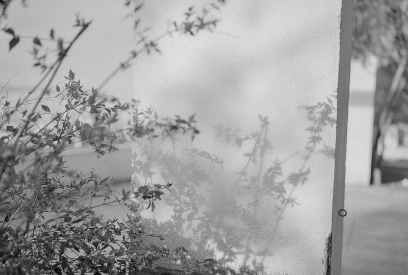 © Gloria Salgado Gispert - Image from the Barcelona un dia d'hivern photography project