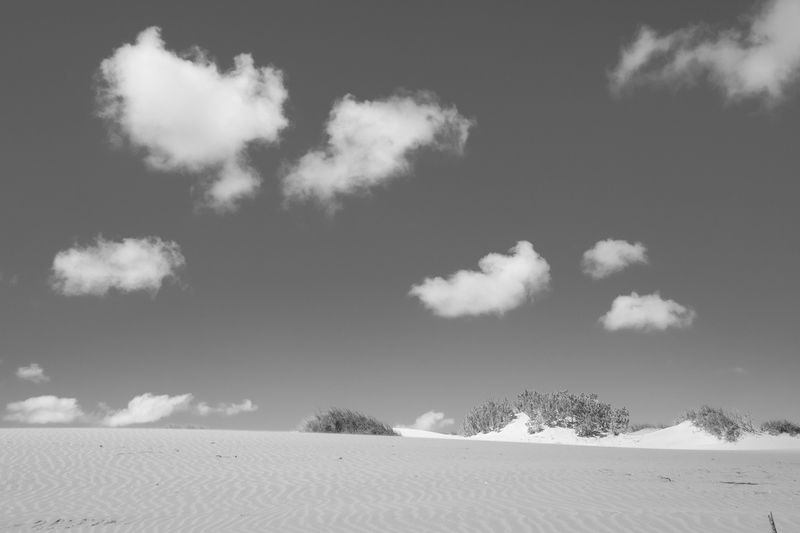 © Gloria Salgado Gispert - Image from the Show me the way home photography project