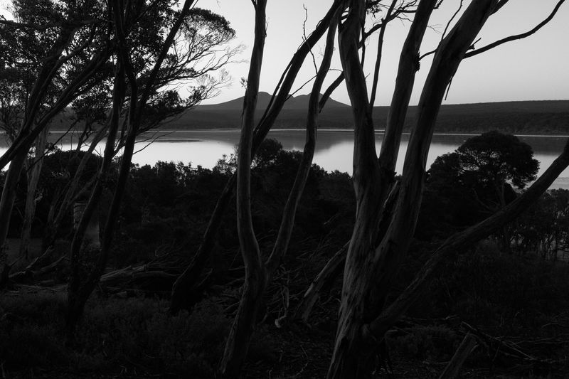 © Gloria Salgado Gispert - Image from the Show me the way home photography project