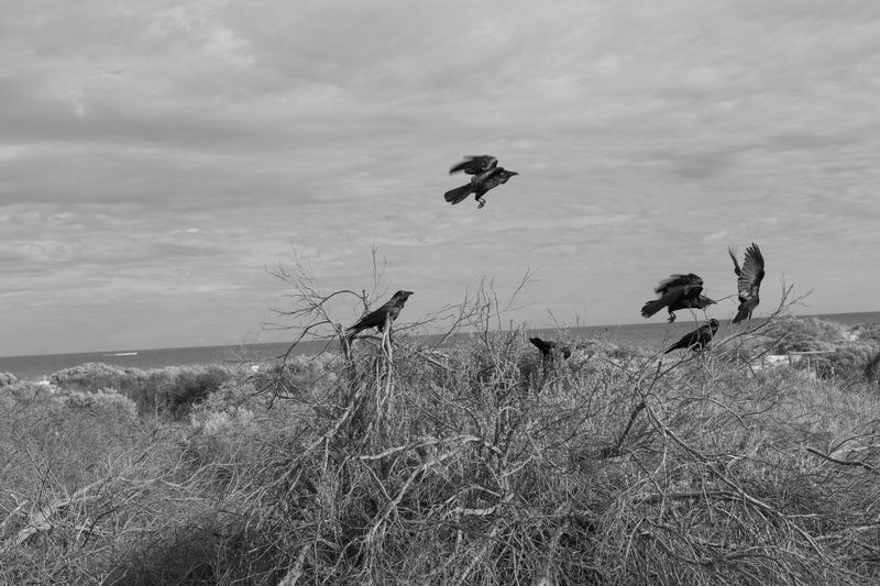 © Gloria Salgado Gispert - Image from the Show me the way home photography project