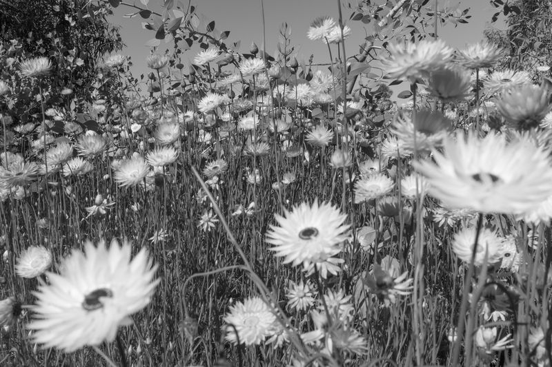 © Gloria Salgado Gispert - Image from the Show me the way home photography project