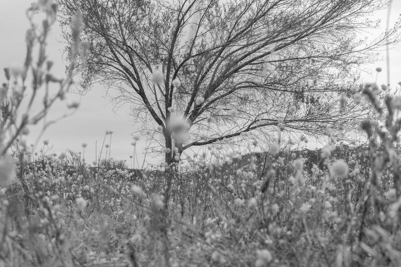 © Gloria Salgado Gispert - Image from the Show me the way home photography project