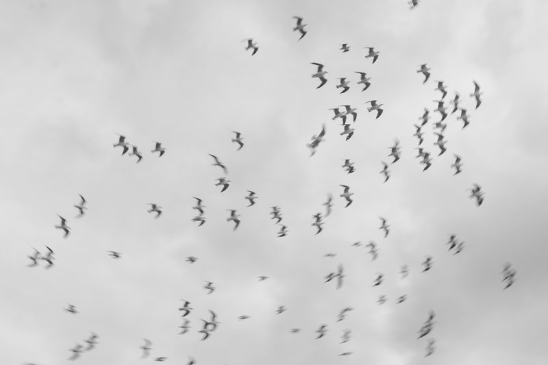 © Gloria Salgado Gispert - Image from the Show me the way home photography project