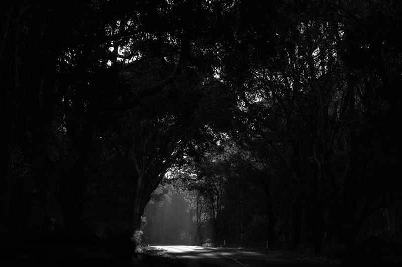 © Gloria Salgado Gispert - Image from the Show me the way home photography project