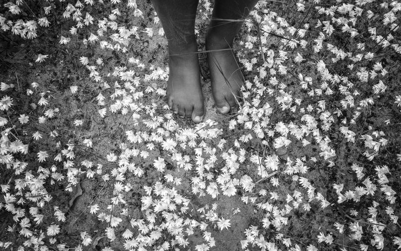 © Gloria Salgado Gispert - Image from the Show me the way home photography project