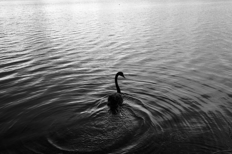© Gloria Salgado Gispert - Image from the Show me the way home photography project