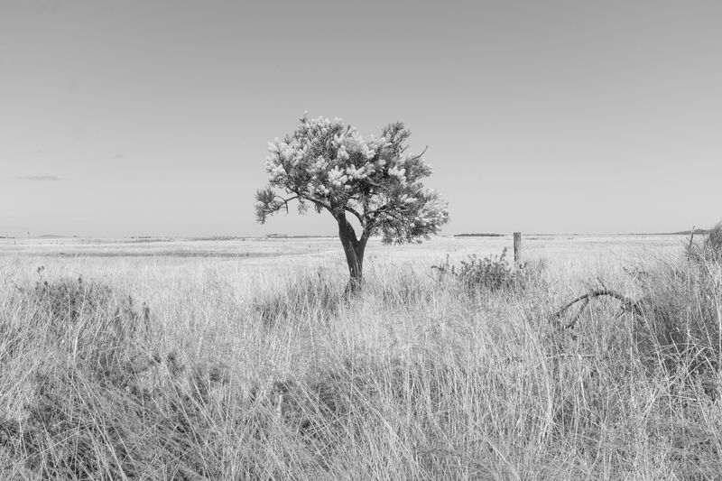 © Gloria Salgado Gispert - Image from the Show me the way home photography project