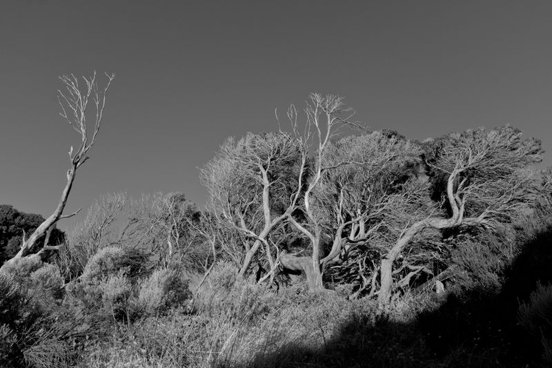 © Gloria Salgado Gispert - Image from the Show me the way home photography project