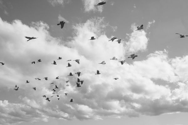 © Gloria Salgado Gispert - Image from the Show me the way home photography project