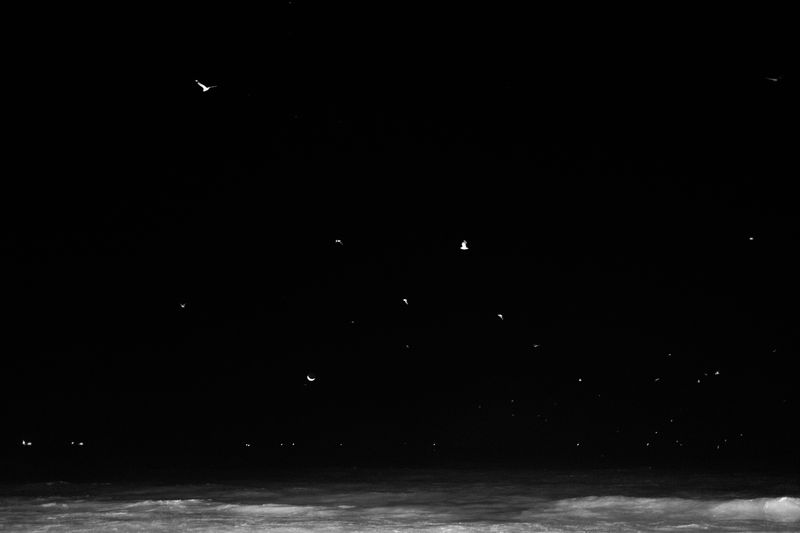© Gloria Salgado Gispert - Image from the Show me the way home photography project