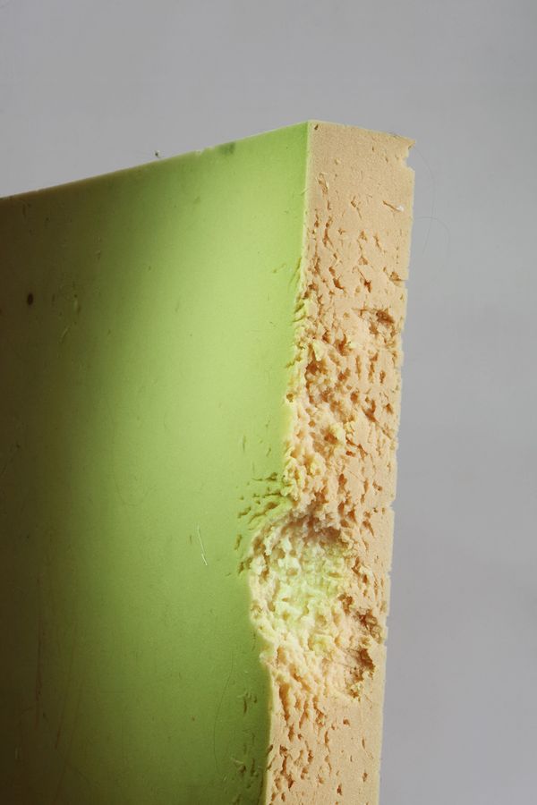 © Alexandra Soldatova - Image from the The great dog photography project