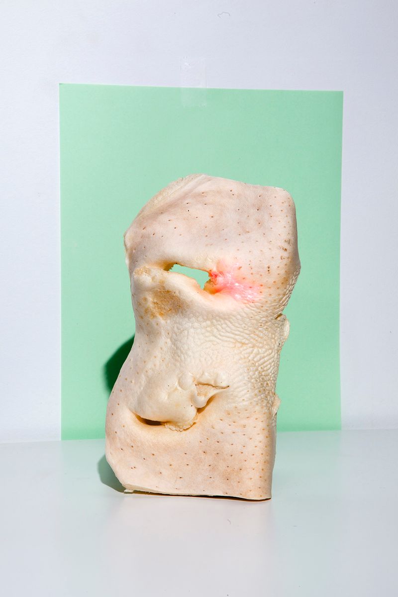 © Alexandra Soldatova - Image from the The great dog photography project