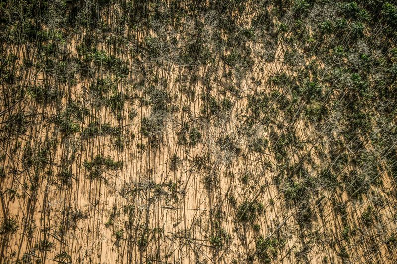 © Ernesto Benavides - Image from the "LA PAMPA" photography project