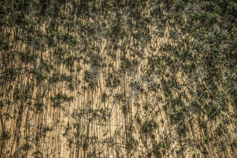 © Ernesto Benavides - Image from the "LA PAMPA" photography project