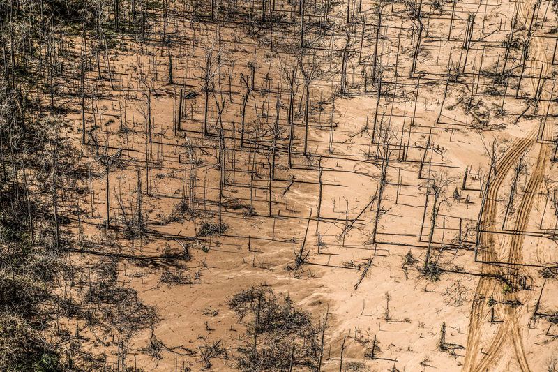 © Ernesto Benavides - Image from the "LA PAMPA" photography project