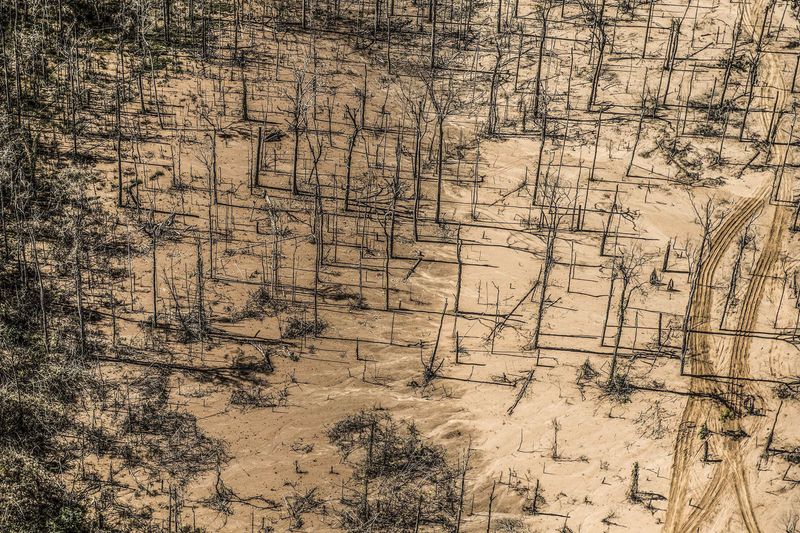 © Ernesto Benavides - Image from the "LA PAMPA" photography project