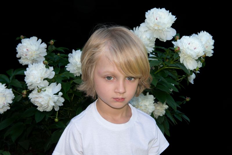 © Paula McCartney - Summer garden