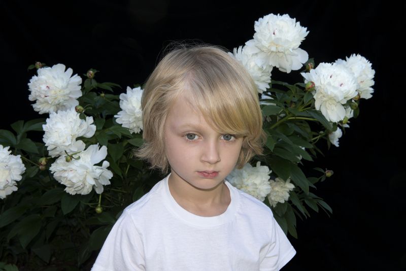 © Paula McCartney - Summer garden