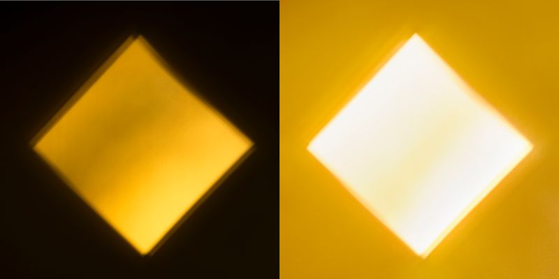 © Paula McCartney - Morning light