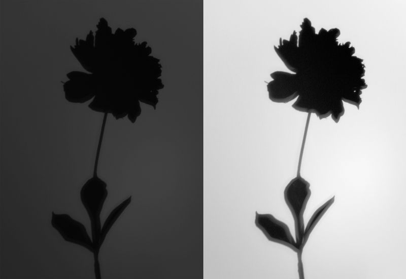 © Paula McCartney - Uncertain ending