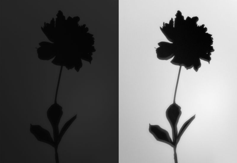 © Paula McCartney - Uncertain ending