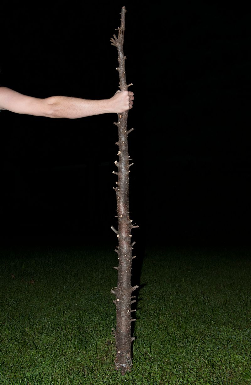 © Paula McCartney - Support