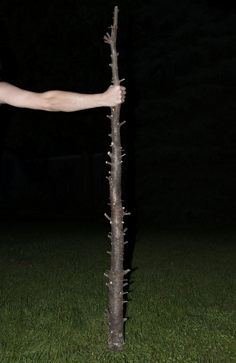 © Paula McCartney - Support