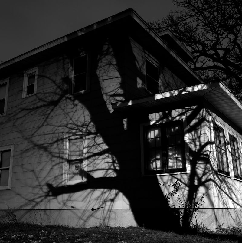 © Paula McCartney - Encompass