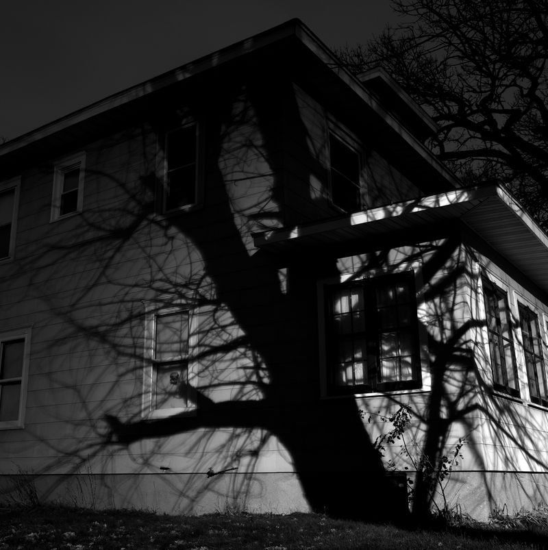 © Paula McCartney - Encompass