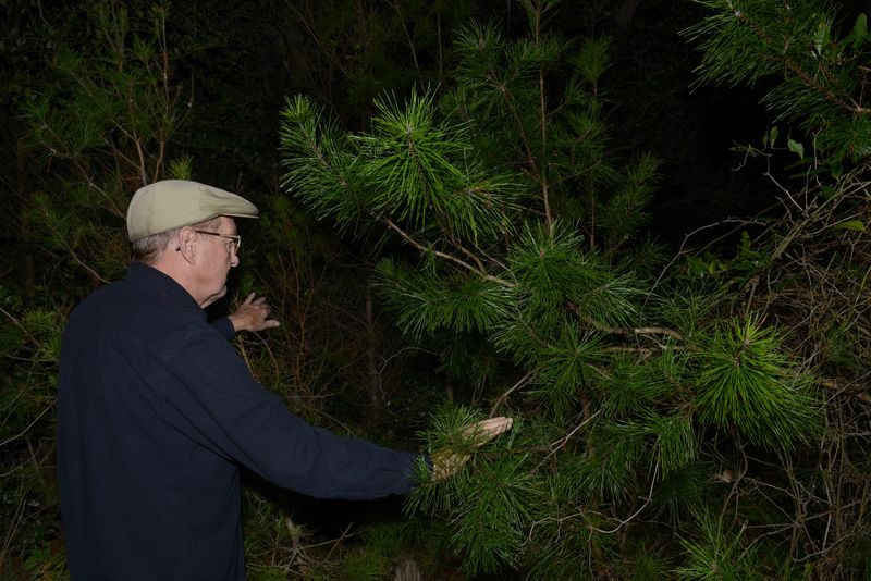 © Paula McCartney - Discovering