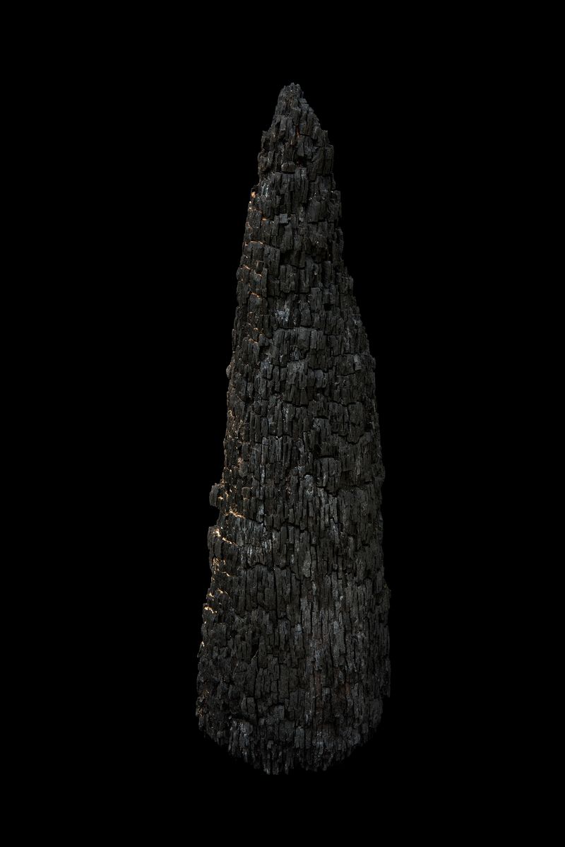 © Paula McCartney - Charred