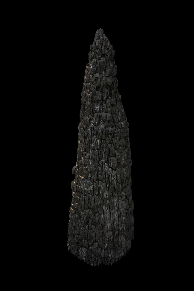 © Paula McCartney - Charred