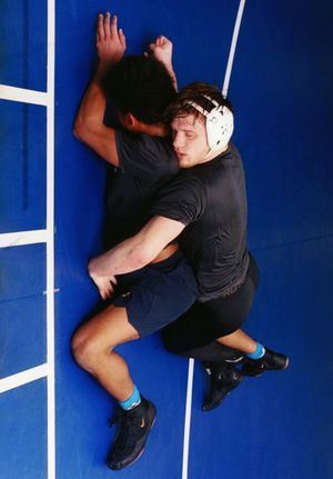 The Lion And The Lamb