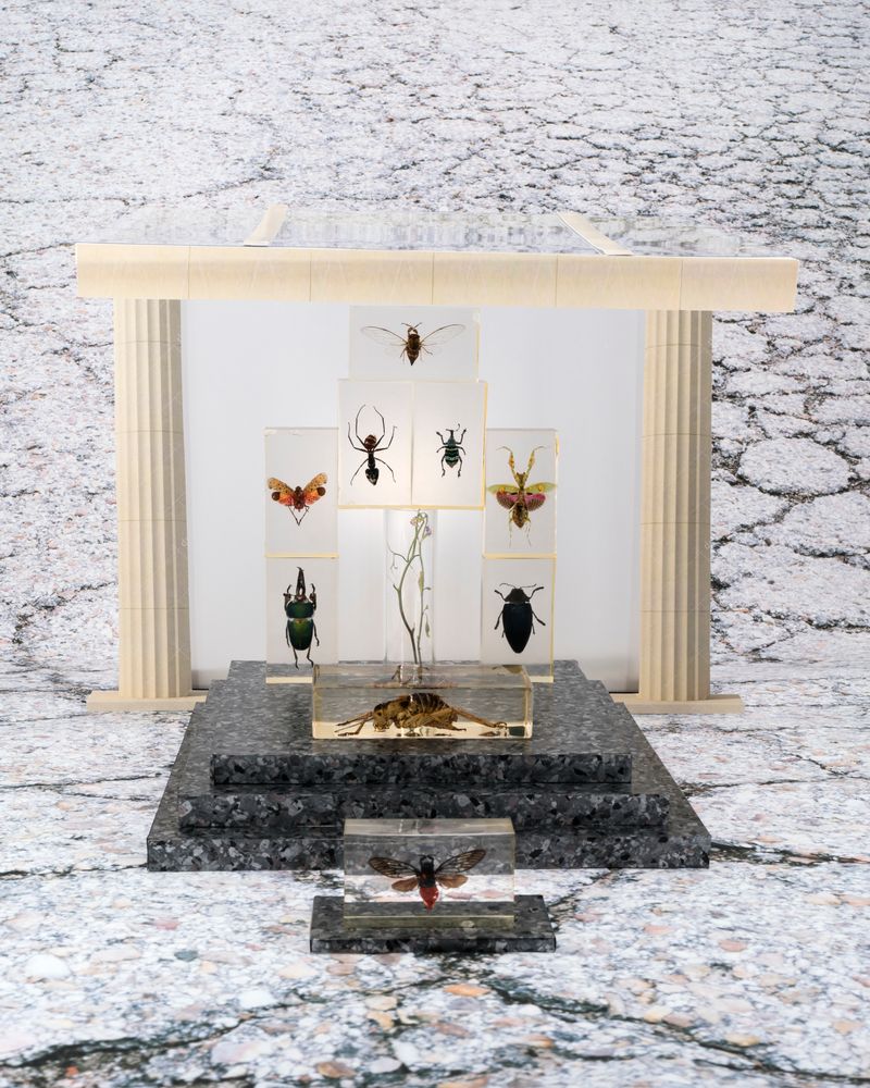 © Alba Ruiz Lafuente - Anthropological Museum