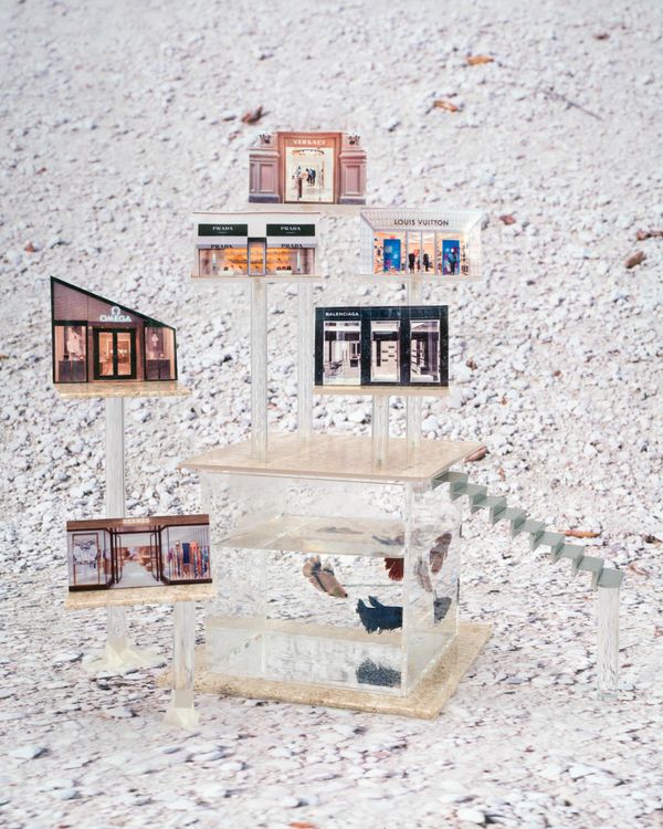 © Alba Ruiz Lafuente - Mall with aquaruim