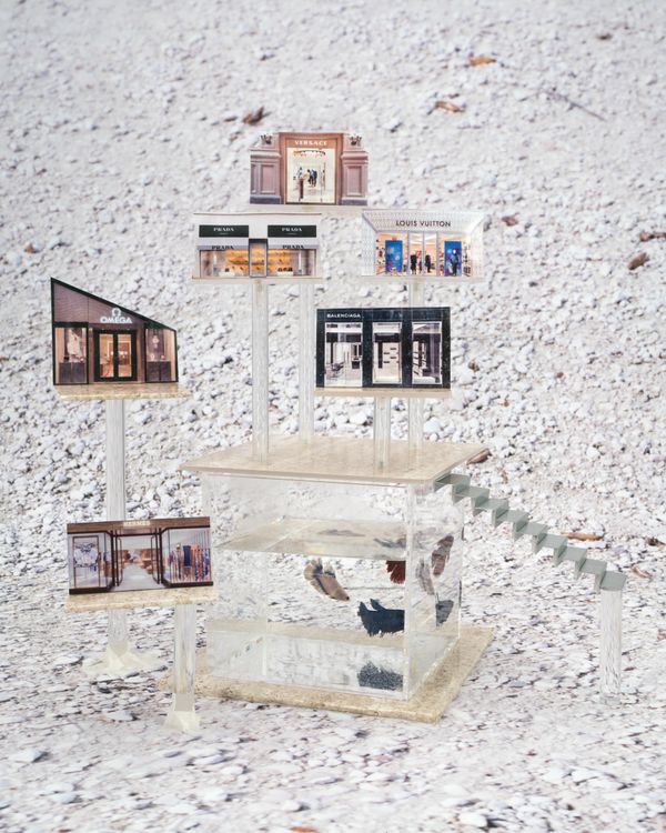 © Alba Ruiz Lafuente - Mall with aquaruim