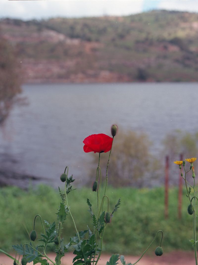 © Durrah Al Afyouni - Image from the Passing / عبور photography project