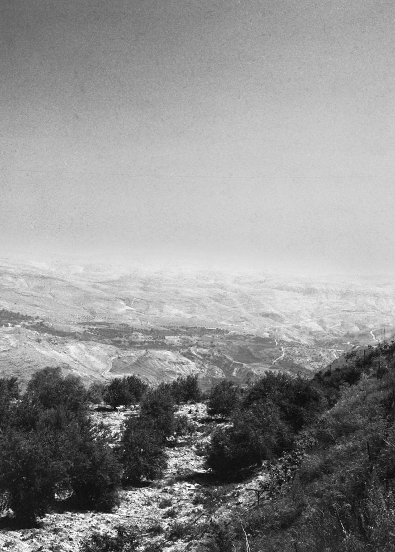 © Durrah Al Afyouni - Image from the Passing / عبور photography project