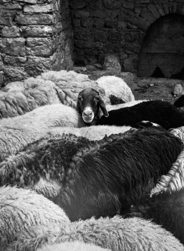 © Durrah Al Afyouni - Image from the Passing / عبور photography project