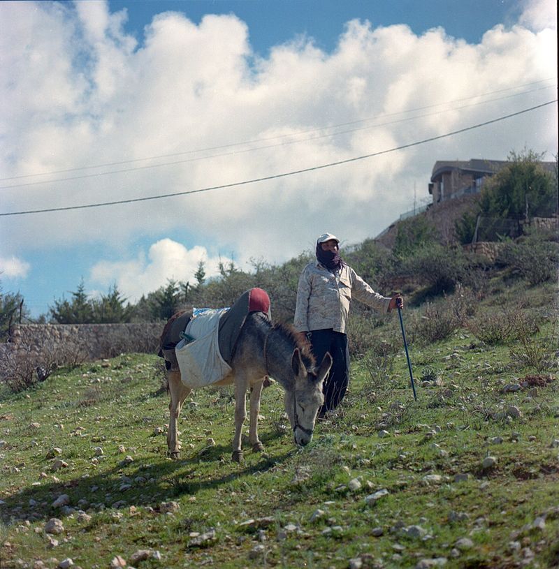 © Durrah Al Afyouni - Image from the Passing / عبور photography project