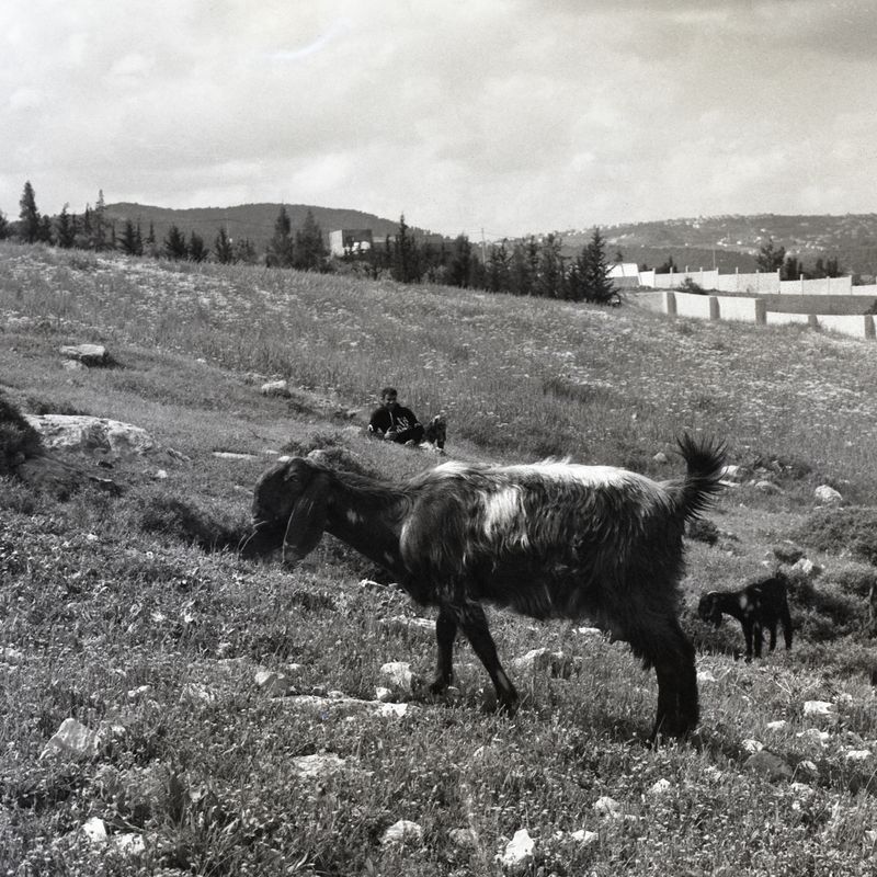 © Durrah Al Afyouni - Image from the Passing / عبور photography project