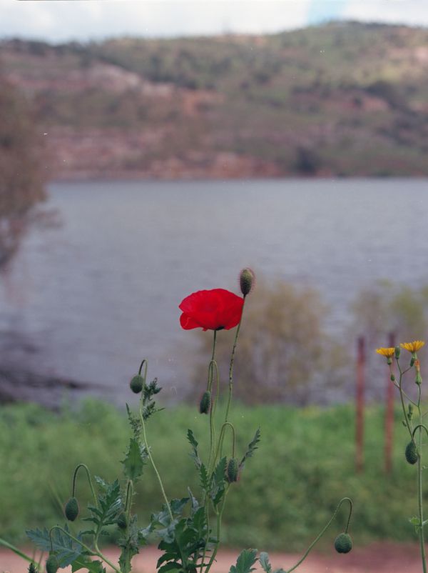 © Durrah Al Afyouni - Image from the Passing / عبور photography project