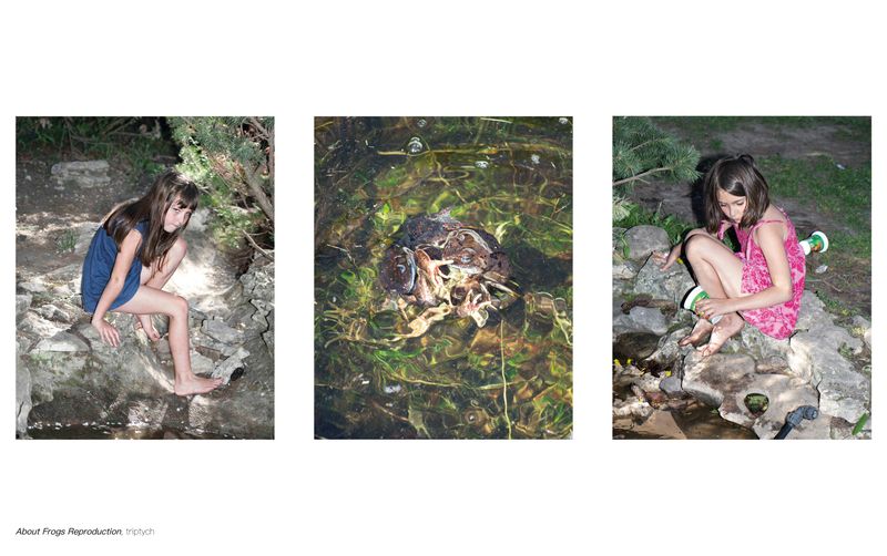 © Loïsà Gatto - Image from the Frogs Reproduction photography project