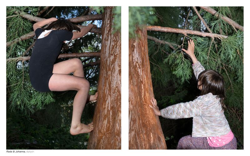 © Loïsà Gatto - Image from the Frogs Reproduction photography project