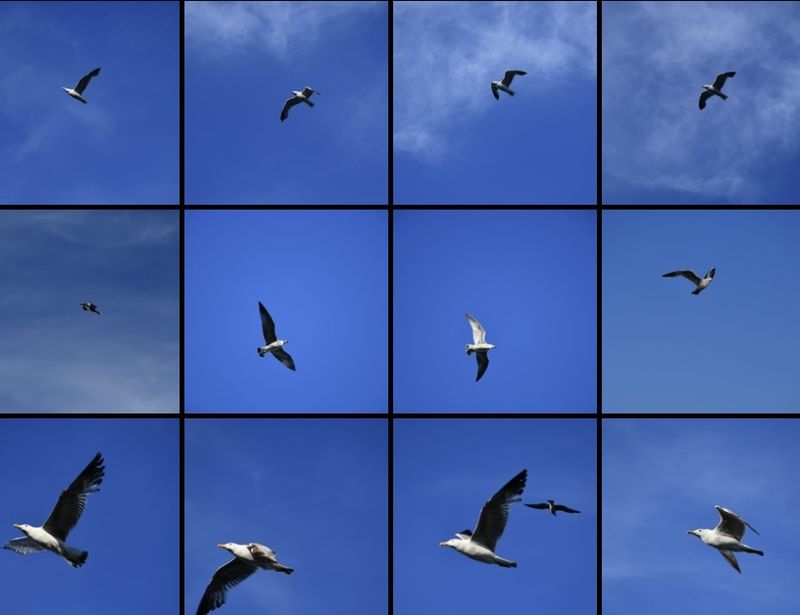 © AVAMPOSTI CULTURALI  |  DIDEMAIMAGES - Image from the In perpetual flight, I brush against life photography project