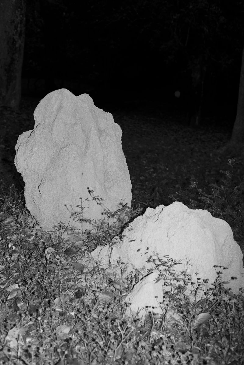 © Priyadarshini Ravichandran - Image from the Surge photography project