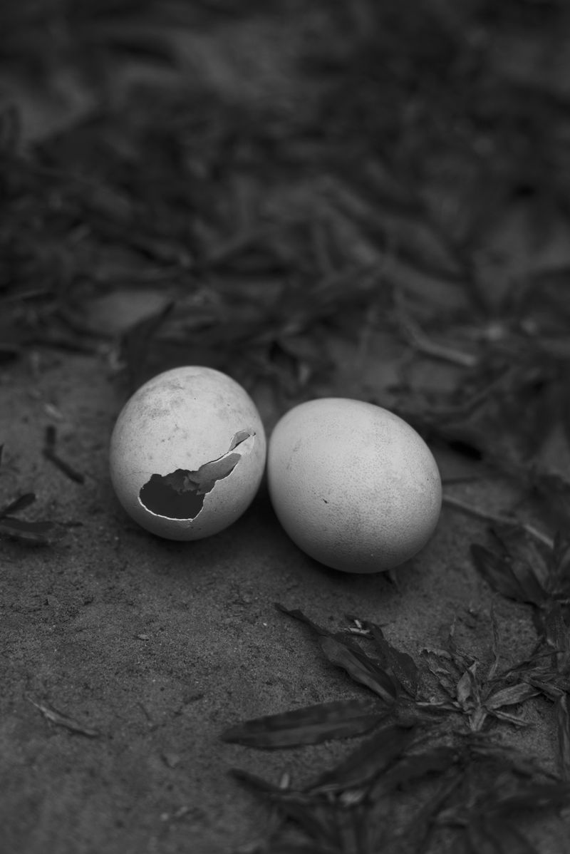 © Priyadarshini Ravichandran - Image from the Surge photography project